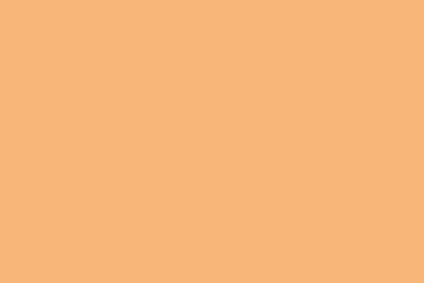 Жовтий Абрикос Суцільний Колір Тло Звичайний Кольоровий Фон Порожнє Тло — стокове фото