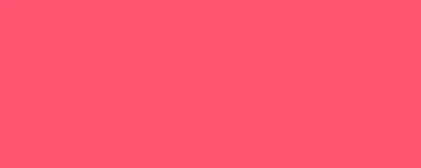 Φλογερό Τριαντάφυλλο Μπάνερ Ωραίο Χρώμα Ιστορικό Απλό Χρώμα Φόντου Άδειο — Φωτογραφία Αρχείου