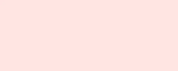 Misty rose. Banner. Solid color. Background. Plain color background. Empty space background. Copy space.