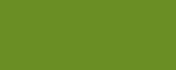 Banner. Olive drab (#3). Solid color. Background. Plain color background. Empty space background. Copy space.