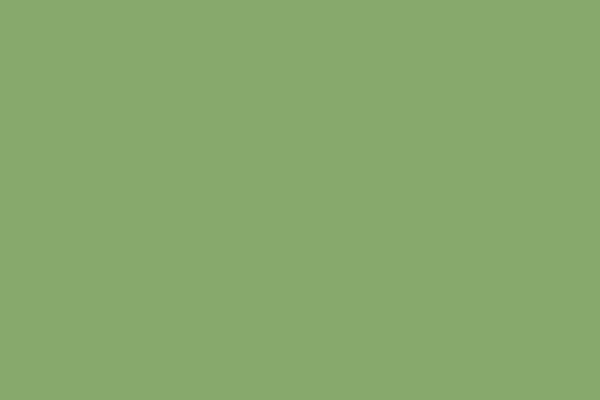 Asparagus. Solid color. Background. Plain color background. Empty space background. Copy space.