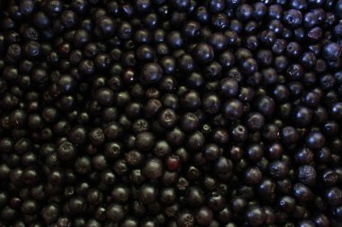 Yaban mersini. Aronia çilekleri. Boğaz üzümü, aronya arkaplan meyvesi. Meyveler. Çilek. Taze toplanmış meyveler. Aronia melanocarpa ya da böğürtlen arkaplanı. Kapatın. Makro.