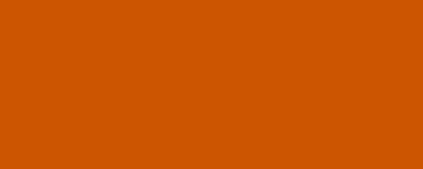 Banner. Burnt orange. Solid color. Background. Plain color background. Empty space background. Copy space.