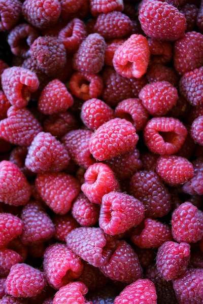 Raspberries Raspberry Background Ripe Raspberries — Stock Photo, Image