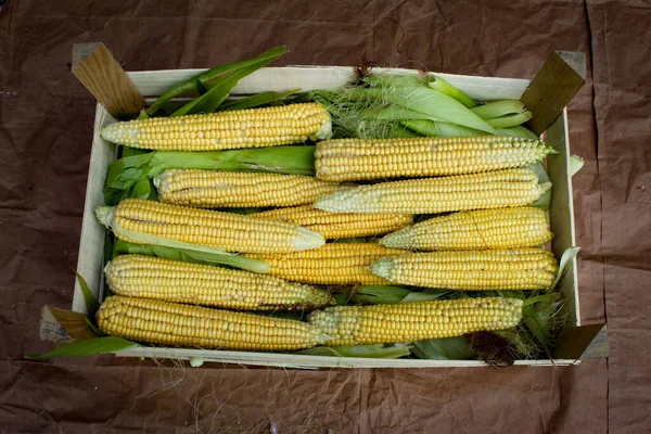 Свіже Зібрана Кукурудза Зеленому Листі Ящику Коробка Кукурудзи Коричневому Папері — стокове фото