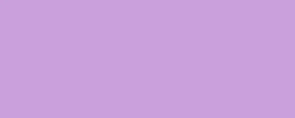 Banner. Wisteria. Solid color. Background. Plain color background. Empty space background. Copy space.