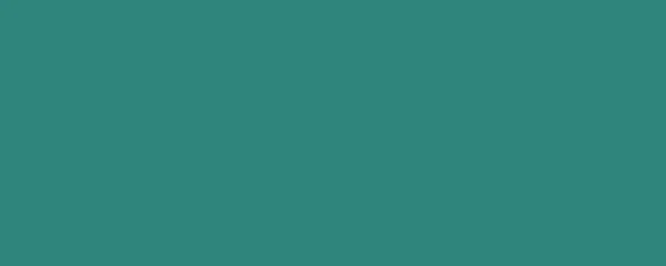 Banner Celadon Green Solidní Barva Pozadí Jasné Barevné Pozadí Prázdné — Stock fotografie
