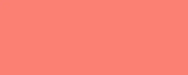 Баннер Лосось Цветной Фон Обычный Цвет Фона Пустой Космический Фон — стоковое фото