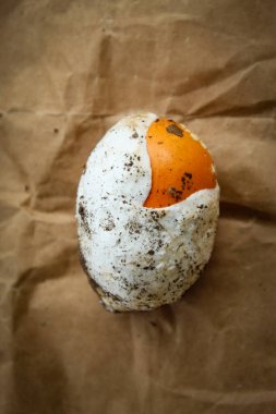 Sezar 'ın mantarı. Kahverengi kağıtta bir Sezar mantarı. Mantar yumurta gibi görünüyor, üzerinde toprak olan beyaz-turuncu-sarı. Amanita bölgesi..