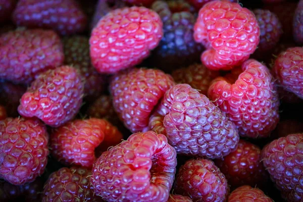 Raspberries Raspberry Background Ripe Raspberries — Stock Photo, Image