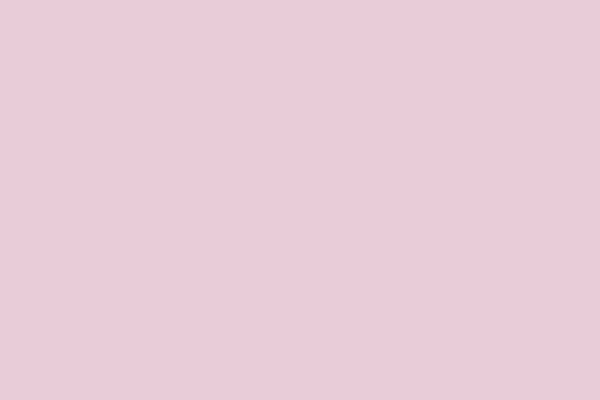 粉红皇后纯色 浅色背景 空旷的空间背景 复制空间 — 图库照片