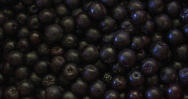 Yaban mersini. Aronia çilekleri. Boğaz üzümü, aronya arkaplan meyvesi. Meyveler. Çilek. Taze toplanmış meyveler. Aronia melanocarpa ya da böğürtlen arkaplanı. Kapatın. Makro.