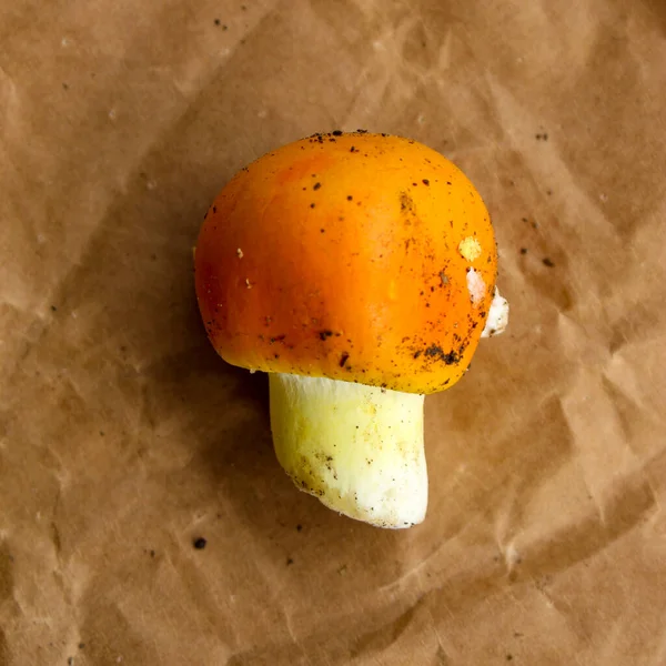 Amanita Caesarea Cäsars Pilz Caesar Pilz Auf Braunem Papier — Stockfoto