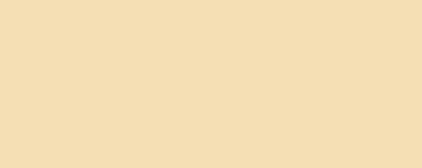 Banner. Wheat. Solid color. Background. Plain color background. Empty space background. Copy space.