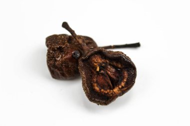 Kurumuş armut. İkiye bölünmüş ve kurumuş iki küçük parça. Beyaz arka planda kurumuş iki armut meyvesi. Armut meyveleri kapanıyor, makro..