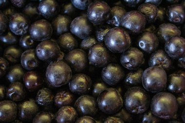Yaban mersini. Aronia çilekleri. Boğaz üzümü, aronya arkaplan meyvesi. Meyveler. Çilek. Taze toplanmış meyveler. Aronia melanocarpa ya da böğürtlen arkaplanı. Kapatın. Makro.