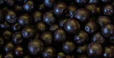 Pankart. Yaban mersini. Aronia çilekleri. Chokeberry, Aronia geçmişi. Çilek. Taze toplanmış meyveler. Aronia melanocarpa ya da böğürtlen arkaplanı. Kapatın. Makro.