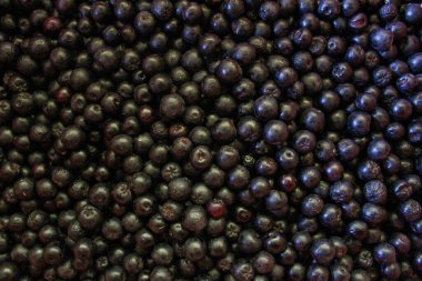 Yaban mersini. Aronia çilekleri. Boğaz üzümü, aronya arkaplan meyvesi. Meyveler. Çilek. Taze toplanmış meyveler. Aronia melanocarpa ya da böğürtlen arkaplanı. Kapatın. Makro.