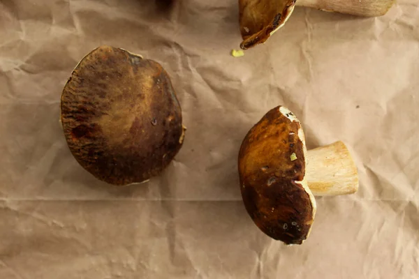 Eine Gruppe Pilze Auf Braunem Papier Verschiedene Pilze Unterschiedlicher Größe — Stockfoto