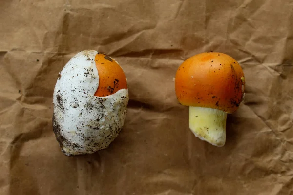 Cäsars Pilze Zwei Caesar Pilze Mit Und Ohne Weiße Schale — Stockfoto