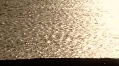 Yönetim Kurulu taşıyan kadın sörfçü