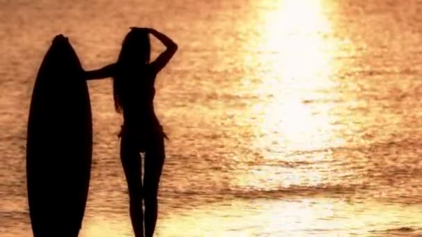 Vrouwelijke surfer silhouet — Stockvideo