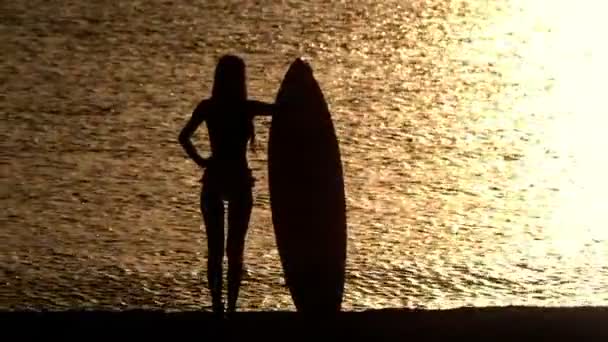 Kvinnliga surfare siluett — Stockvideo