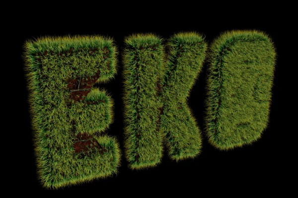 3d에서 만든 검은색에 에코 잔디 비문 — 스톡 사진