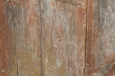 ahşap çit boyalı doku 