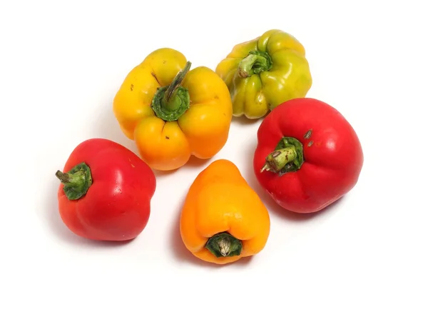 Pimentas maduras laranja e vermelho sobre um fundo branco — Fotografia de Stock