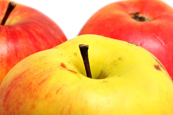 Ripe apples close up shot on white — Stock Photo, Image