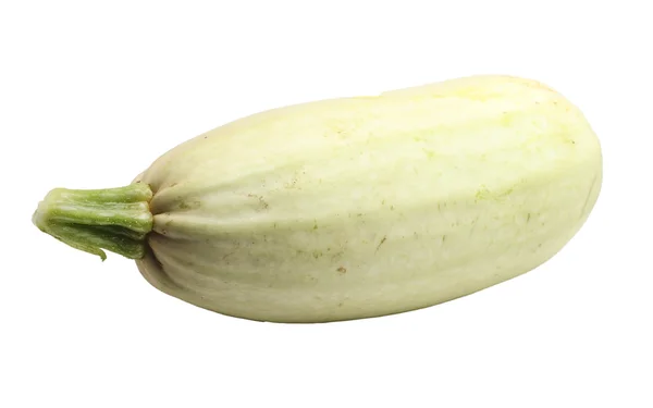 Liten grön zucchini på en vit bakgrund — Stockfoto