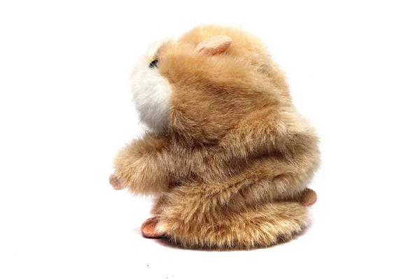 Jouet hamster sur fond blanc — Photo