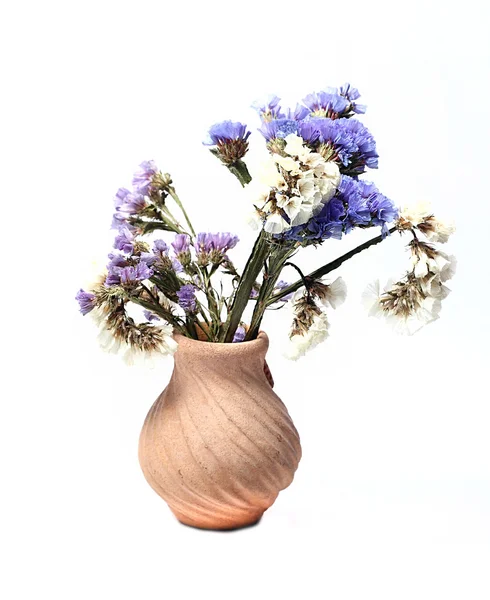 Gedroogde bloemen in een vaas op een witte achtergrond — Stockfoto