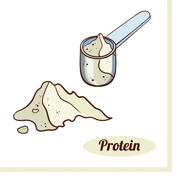 Naběračka proteinový prášek — Stockový vektor