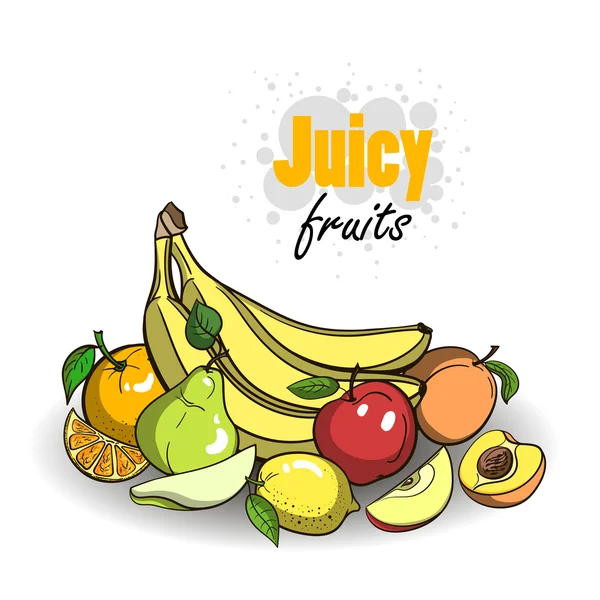 Frutos maduros2 — Vector de stock