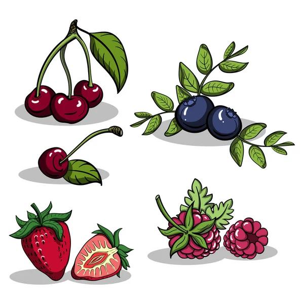 Berriesset — Vector de stock