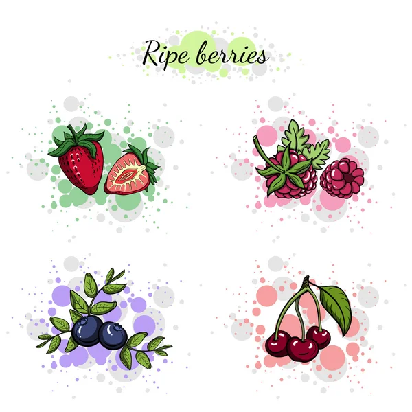 Colorfulberries — Stockvector