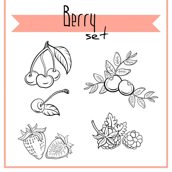 Berryset1 — Stockvector