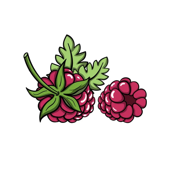 Raspberryvector — Vector de stock