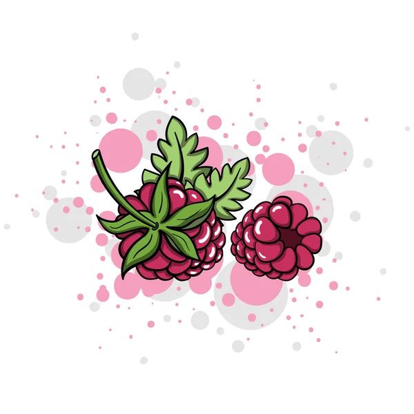 Style framboise — Image vectorielle