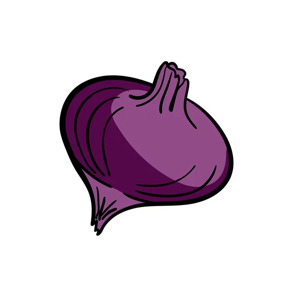 Onionvector — 스톡 벡터