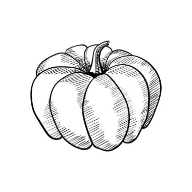 Pumpkinvector