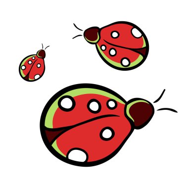 Ladybugisolated