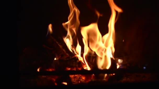 Fire Oven Fireplace Closeup Slow Motion — Stock Video