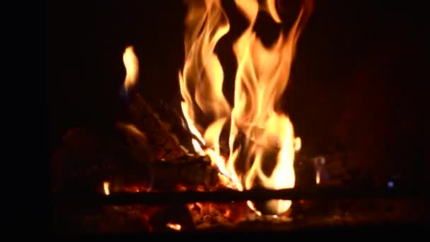 Feu Dans Four Cheminée Gros Plan Mouvement Lent — Video