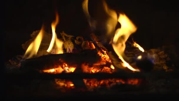 Feu Dans Four Cheminée Gros Plan Mouvement Lent — Video