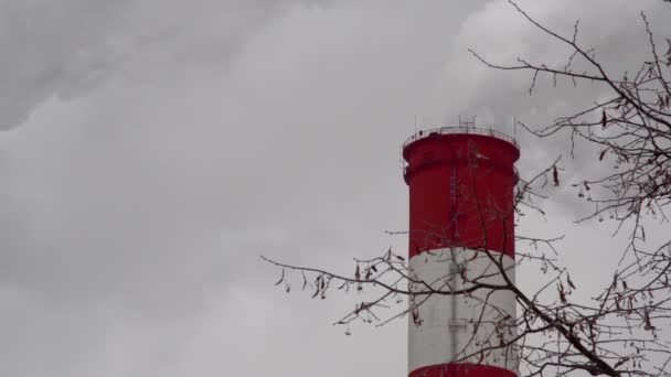 Central Eléctrica Equipo Las Estaciones Energía Eléctrica Humo Blanco Tubo — Vídeo de stock