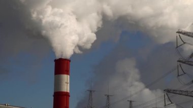 Renkli soyut resim arkaplanı. Modern motif görsel sanat. Yağ renkli yoğun bir karışım. Moda el boyama bezi. Moda poster kağıdı için tuval üzerindeki fırça darbelerini boya