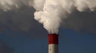 Renkli soyut resim arkaplanı. Modern motif görsel sanat. Yağ renkli yoğun bir karışım. Moda el boyama bezi. Moda poster kağıdı için tuval üzerindeki fırça darbelerini boya